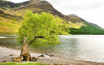 Holiday cottages in Cumbria, contact the owners direct