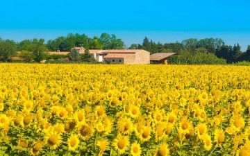  in Provence-Alpes-Côte d'Azur, contact the owners direct