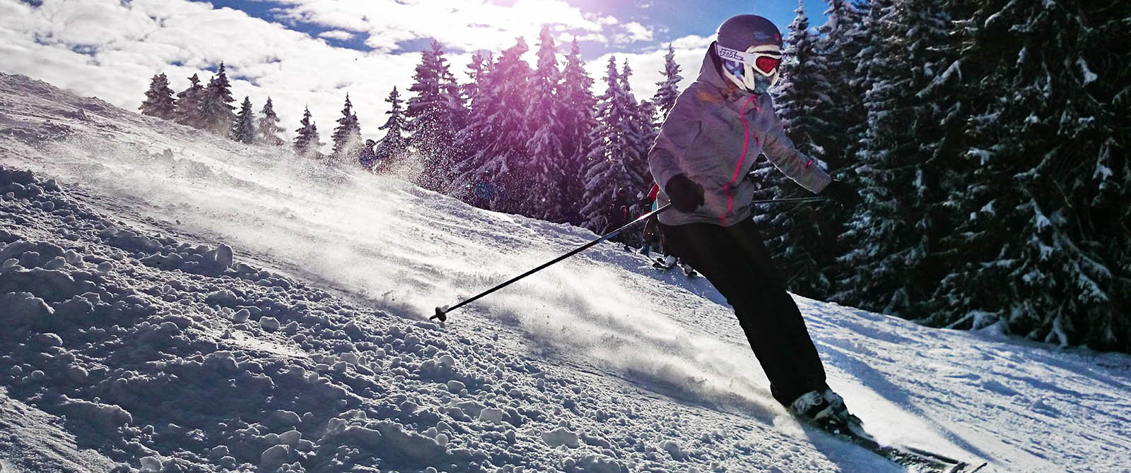 Ski Chalets and Apartments